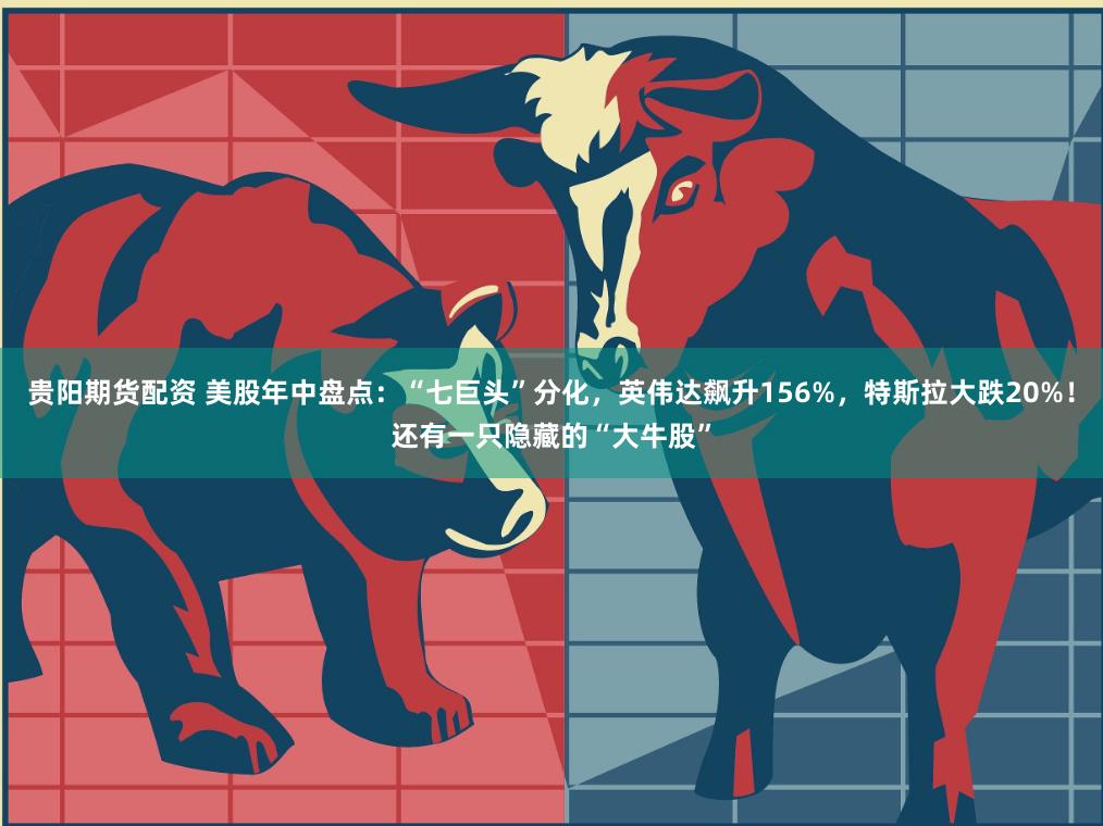 贵阳期货配资 美股年中盘点：“七巨头”分化，英伟达飙升156%，特斯拉大跌20%！还有一只隐藏的“大牛股”