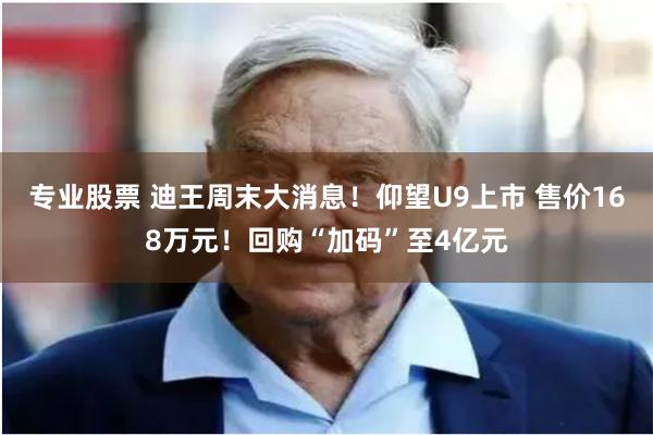 专业股票 迪王周末大消息！仰望U9上市 售价168万元！回购“加码”至4亿元