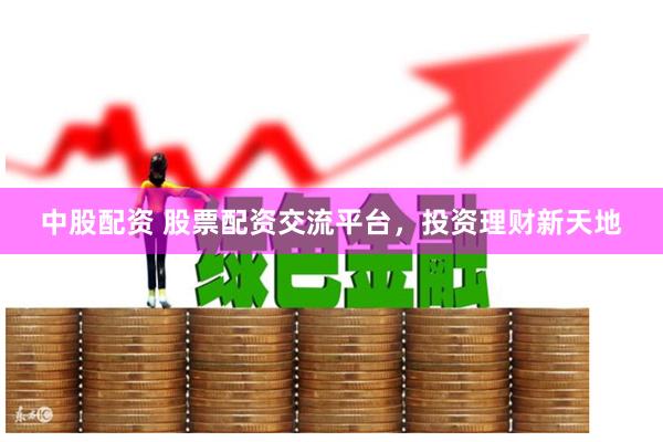 中股配资 股票配资交流平台，投资理财新天地